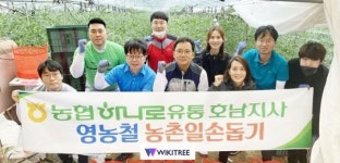 농협하나로유통 호남지사, 함께하는 농촌일손돕기로 구슬땀
