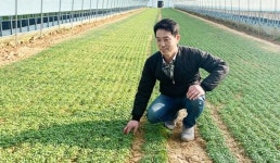 전남도, ‘영암 민영’ 친환경 새싹 채소 ‘억대 부농’