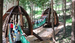 진도군, 편백숲 운림산림욕장 개장