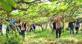 장흥군 관산읍, 일손부족 농가 위해 팔 걷어붙여