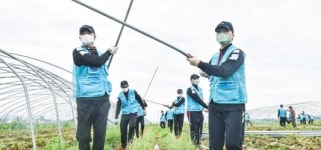 공군 제1전투비행단 장병들, 지역 농가에 힘이 되다!