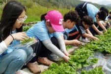 곡성군,농촌체험휴양마을에서 언택트 여행(거리두기 여행)으로 힐링