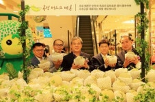 곡성군, 롯데백화점 광주점에서 고품질 곡성멜론 선보여