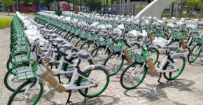 필요한 곳에서 ‘타랑께’~~