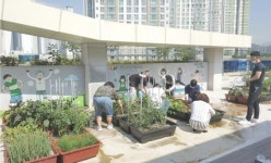 순천신대건강생활지원센터, 옥상텃빝에서 키운 채소 경로당에 전달