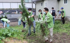 [포토]광주시 동구 학동, 광주천 오염원 줄이기 거리청소