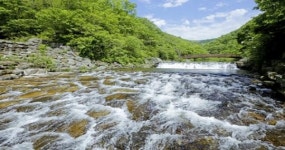 장수군 와룡·방화동 자연휴양림, 장안산 군립공원 여름 성수기 운영