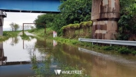 [포토] 만경강 범람에 도로 삼켰는데, 김제시 무관심(?)