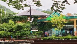 내장산국립공원! 무료 와이파이 ‘팡팡’!