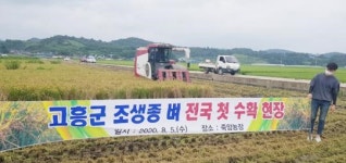 고흥군, 전국최초 조생종 벼 수확