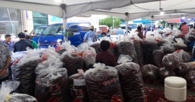 진안고원 마이산 고추시장 8.14 개장