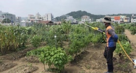 순천시, 도시텃밭 공동 방제 “미생물아, 텃밭을 부탁해”