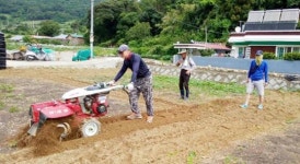 여수시, ‘전남에서 먼저 살아보기’ 금오도 버들인마을 참가자 모집