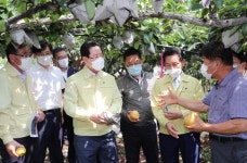 김영록 전남도지사, 태풍 ‘바비’ 피해현장 방문