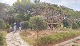 광주시 동구, 조선대학교부속중에 명상 숲 만든다