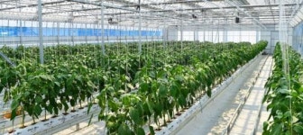 광주시 농업기술센터, 청년창업농 인큐베이터 농장 조성