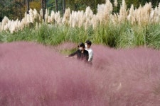 가을빛 물든 해남, 여유롭게 추석연휴 즐겨요