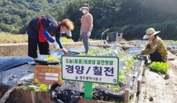 광주시 동구, 도농경로당 결연 공동텃밭 가꾼다