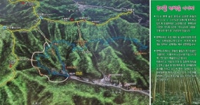 ‘상관편백숲’, ‘초록 샤워’하며 편백숲 걸어볼까?