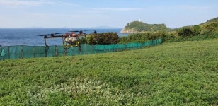 여수시, ‘거문도해풍쑥’ 드론 친환경방제 효과 ‘탁월’