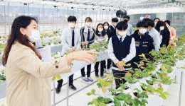 곡성군농업기술센터, 진로 직업 체험 학습장 인기