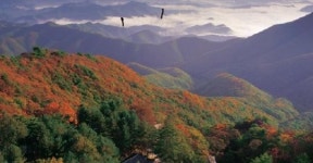 대둔산 칠갑산 등 충남도립공원 단체탐방 제한