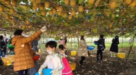 진도군, 올해 세 번째 농산물 직거래 팜파티 개최