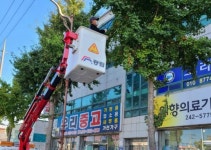 목포시, 가을철 불청객 은행나무 열매 조기 채취
