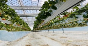 부안군농업기술센터, 스마트농업 테스트베드 교육장 본격 가동