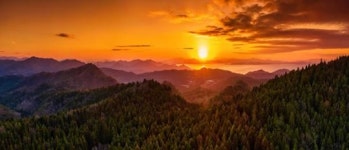 전남도, 보물같은 ‘12개 명품숲’ 선정