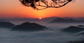 옥천군 새해 해맞이 행사 전격 취소