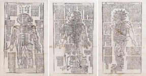 원광대 박물관, 동의보감 세계기록유산 등재 기념 특별전