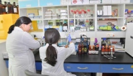 순창 청국장, 뇌건강과 당뇨에 우수!