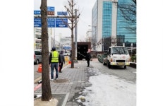 광주시 동구, 동절기 가로수 유지·관리로 생육 활성화