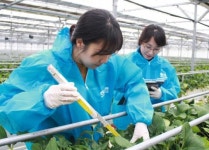 전남도농업기술원, 농식품 생산성 향상 빅데이터 수집 본격화