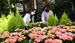 지리산허브밸리, 겨울정원 온택트 개최!