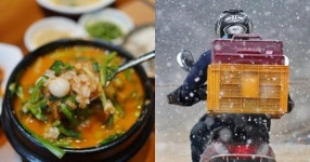 “개밥 못 먹겠다… 더러우니까 가져가라” 변호사 부부, 국밥 배달원에게 막말 (증거사진)