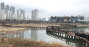 수변공원 기지제 가로지르는 횡단 산책로 완공