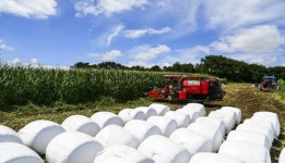 남원시, 조사료 생산기반확충 39억원 투자
