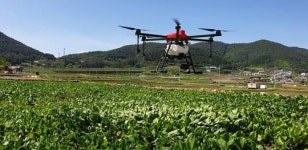 여수시, ‘명품 돌산갓’ 생산기반 조성 지원사업 추진