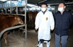 설맞이 강진우시장 대목장‘대성황’