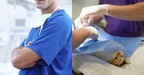 “의사인 줄 알고 소개팅에 나갔는데 수의사가 나왔어요… 당황스러운 거 맞죠?”