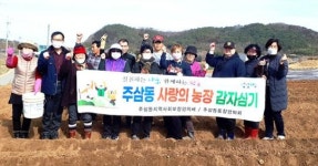 여수시 주삼동 지역사회보장협의체, ‘사랑의 농장’ 감자 심기