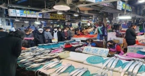 [포토]포항 죽도시장에 인파 북적