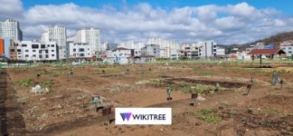 순천시, 도시텃밭 3곳 개장 운영