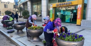 봄꽃 만개한 금남로에 놀러오세요!