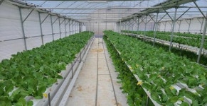 여수시, 원예작물분야 스마트팜 등 신기술보급 추진 ‘박차’