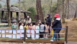화순군, 숲 해설·유아 숲 체험 프로그램 운영