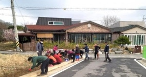 경주 강동면, 신바람 나는 봄맞이 환경정비 및 꽃밭 조성 나서