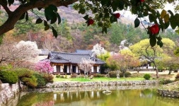 진도군, 관광홍보 UCC 공모전 개최
